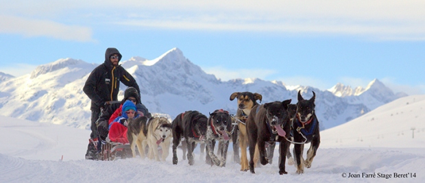 La experiencia de practicar el mushing y aprender a conducir un trine