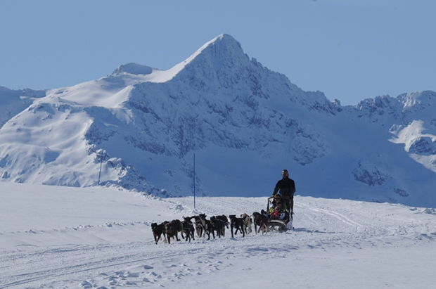 Deslizarse sobre la nieve con excursiones en trineo de perros