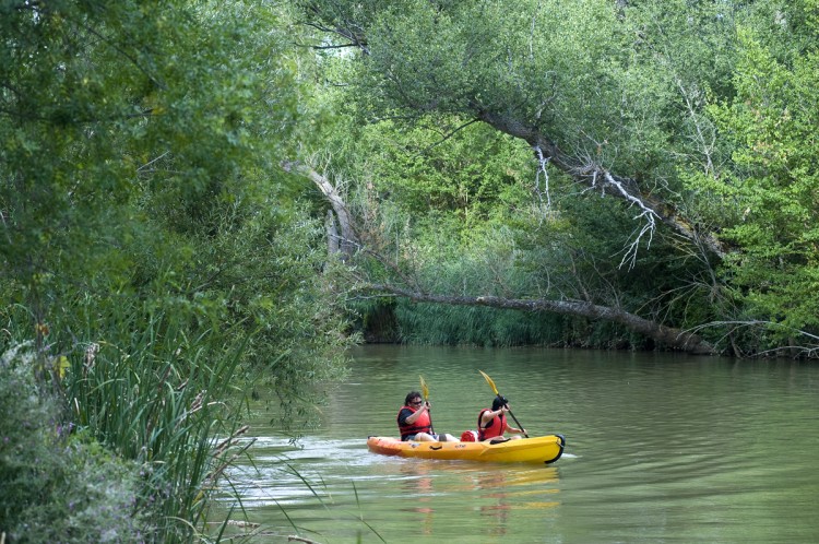 Canoasrioduero