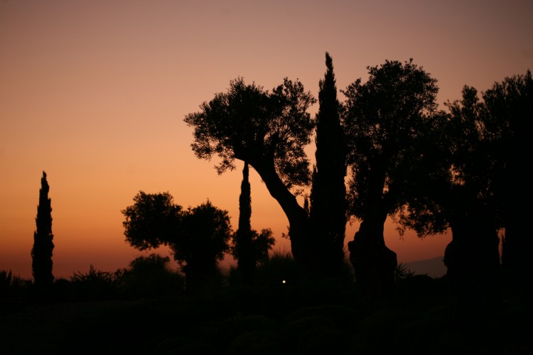 ALGARVE---Sun-set---Turismo-Algarve