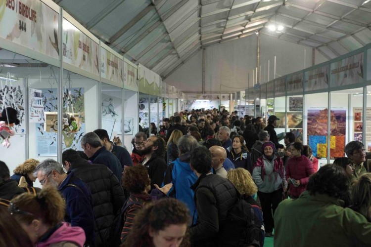 FIO 2015 Extremadura © Miguel Angel Muñoz Romero