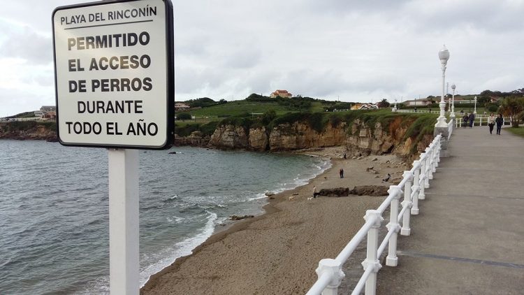 Playa rinconin Gijón