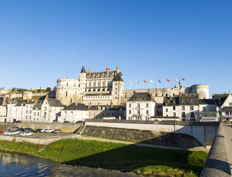 Panorámica desde el río del Castillo Real de Amboise