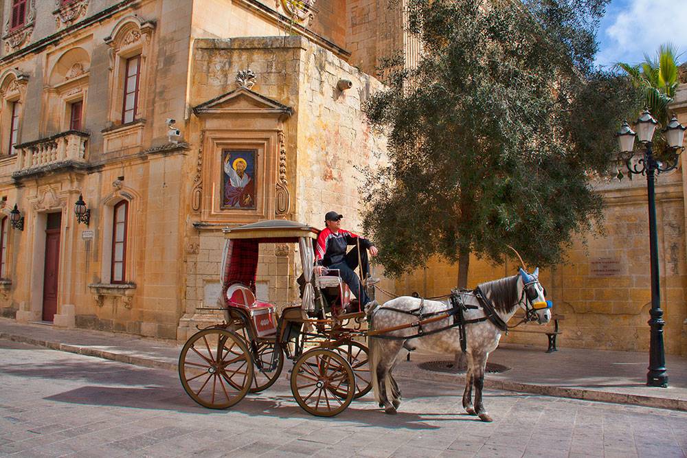 Palacio de los Grandes Maestres Habitación estudio del Palacio Falzon Fuente en el jardín interior del Palacio Falzon Vista de la Ciudad de Mdina