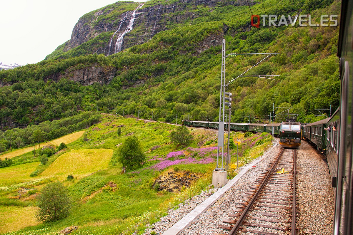 Guía para realizar la ruta Norway in a Nutshell desde Bergen ren en el recorrido de Myrdal a Flam