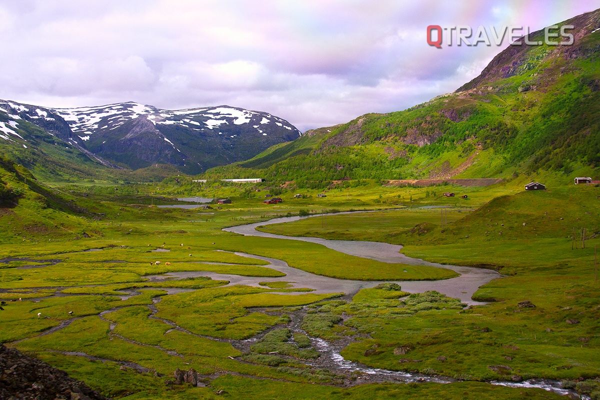 Guía para realizar la ruta Norway in a Nutshell desde Bergen Paisaje de Bergen a Myrdal