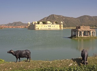 Palacio de agua Jal Mahal en Jaipur