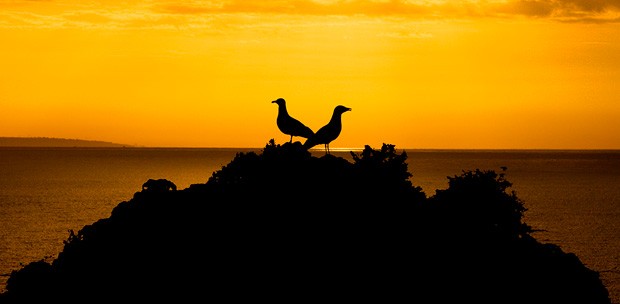  Algarve, un escenario de cine