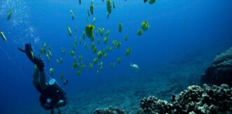 Submarinismo en Isla Mauricio