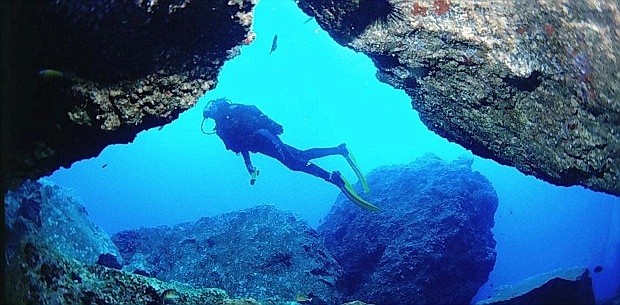  BUCEA EN ALGARVE Y DESCUBRE UN MUNDO OCEÁNICO LLENO DE VIDA