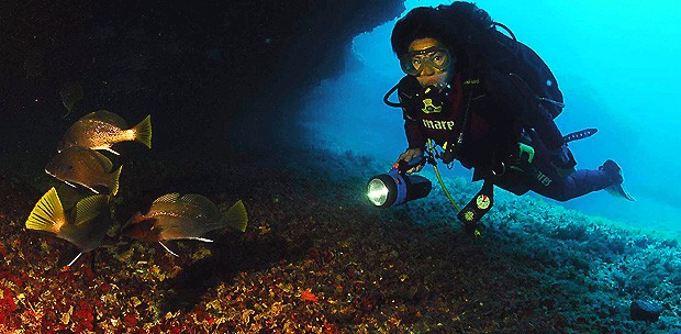  Formentera retrata sus fondos marinos