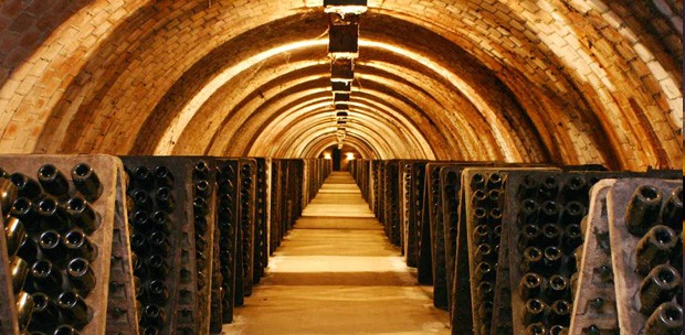 Acevin presenta las nuevas cifras del Observatorio Turístico de Rutas del Vino de España