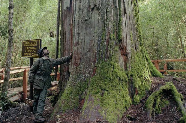  Argentina presenta la Huella Andina, un sendero de 550 kilómetros