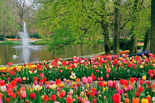 Keukenhof 2012: millones de bulbos en flor para inaugurar la primavera