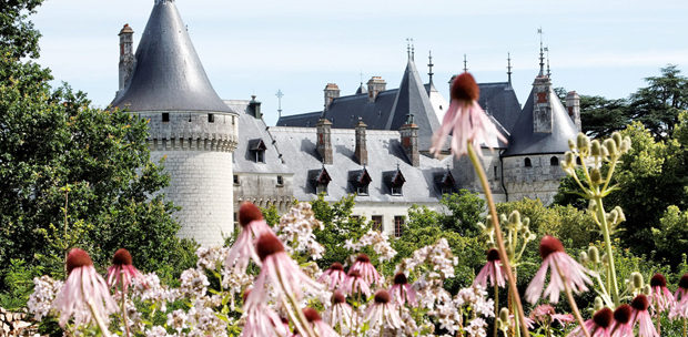  La primavera en los Castillos del Loira: una expereincia inolvidable