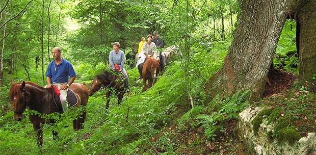  Visitar Navarra este otoño tiene premio