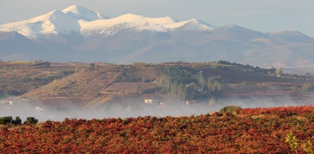Doce nuevos miembros se unen a la Ruta del Vino de La Rioja Alavesa