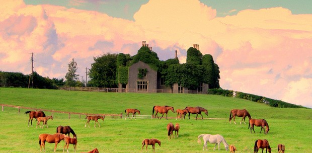  Cork, de pura cepa irlandesa