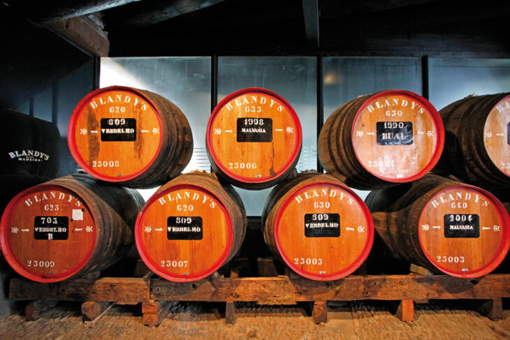 Barricas de vino de Madeira
