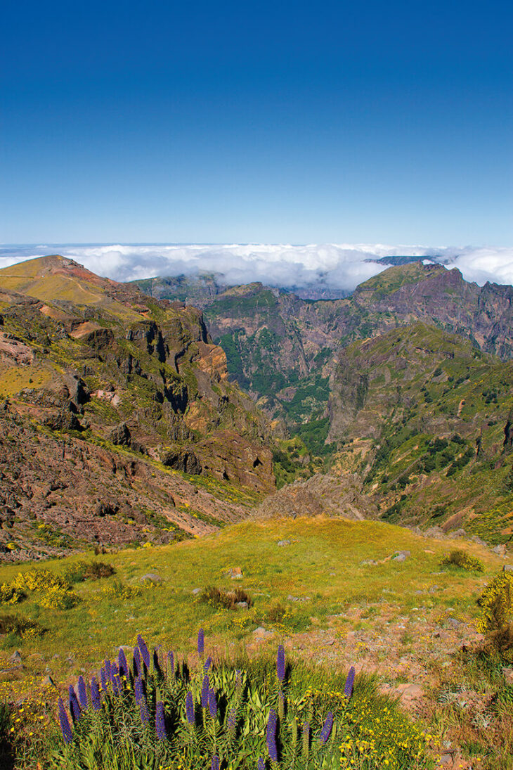 Paisaje de montaña en Madeira