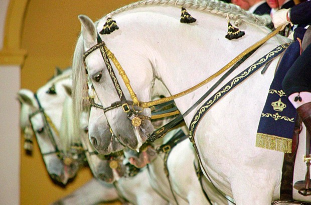 Los caballos de Jerez, musas de Loewe y estrellas en Bahrein