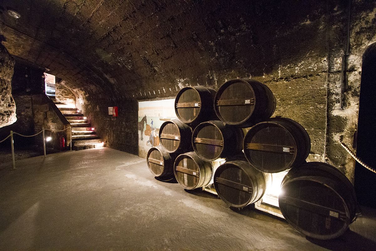 Cómo visitar y lo mejor que ver en Cognac, bodegas Otard