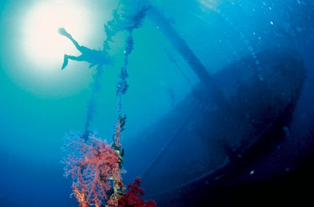 Aqaba, el paraíso Jordano para los amantes del buceo