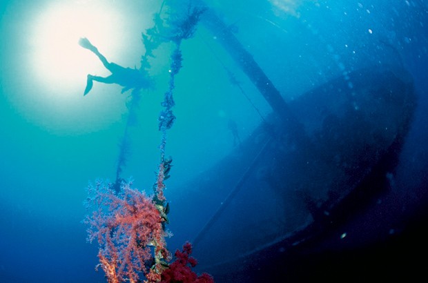  Aqaba, el paraíso Jordano para los amantes del buceo