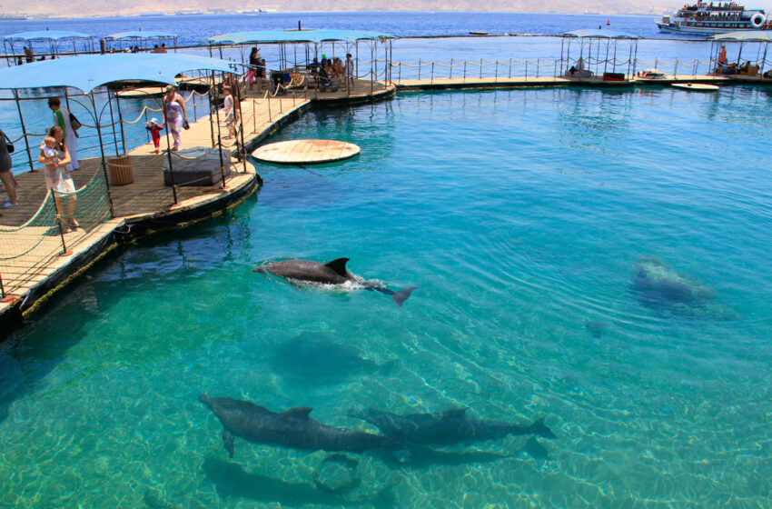  Eilat y el Mar Muerto