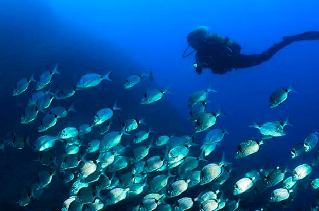  L’Estartit y las Islas Medes lugar favorito para hacer submarinismo