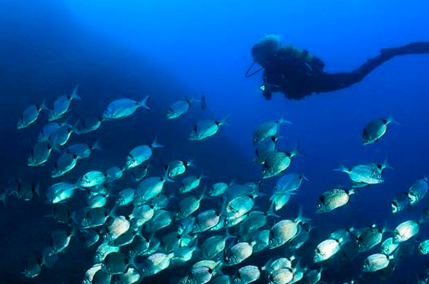 L’Estartit y las Islas Medes lugar favorito para hacer submarinismo