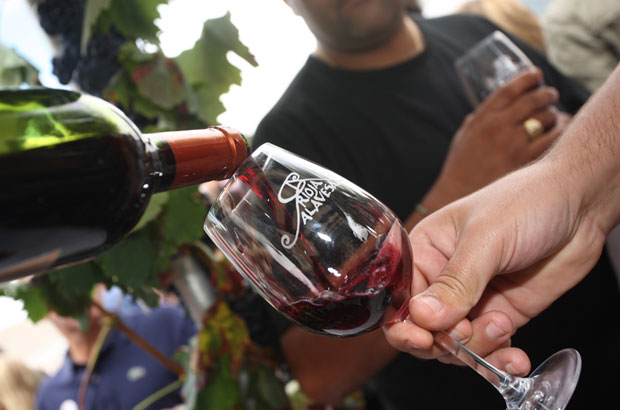 Lapuebla de Labarca acoge la XIX Fiesta de la Vendimia de Rioja Alavesa