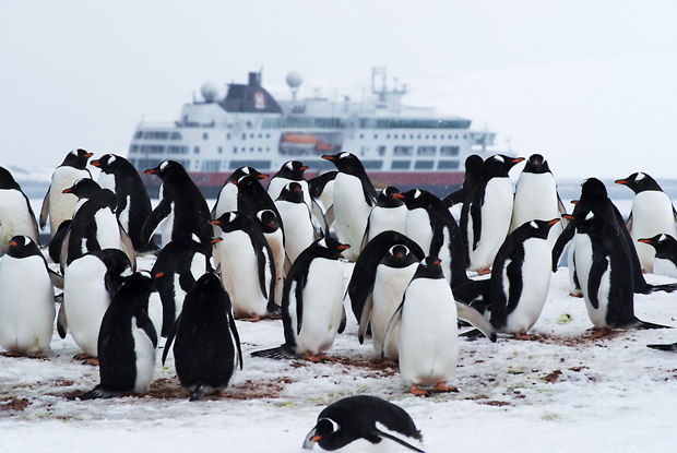  Hurtigruten inaugura la temporada  de invierno