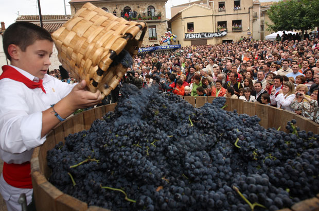 Vendimia en la Rioja Alavesa, un mundo de sensaciones