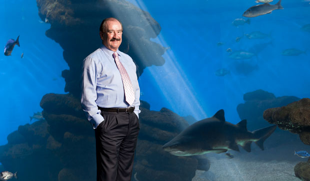  Palma Aquarium bate records en agosto