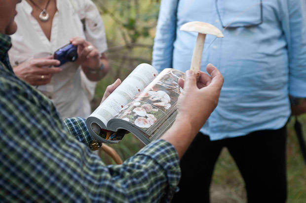Talleres de micología gastronómica, al alcance de todos