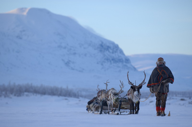  Descubre la Laponia Sueca este invierno 2013