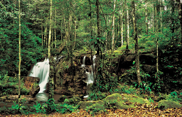 Ecoturismo, principal motivo de viaje de españoles a Brasil