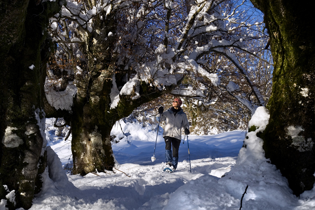 Esquí de fondo y raquetas, protagonistas del invierno navarro