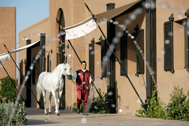  Travesías a caballo por el Valle Ourika, Hotel Selman Marrakech