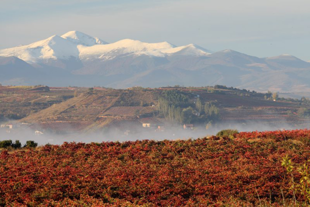  FITUR 2013, La Rioja Alavesa presenta sus novedades enoturísticas