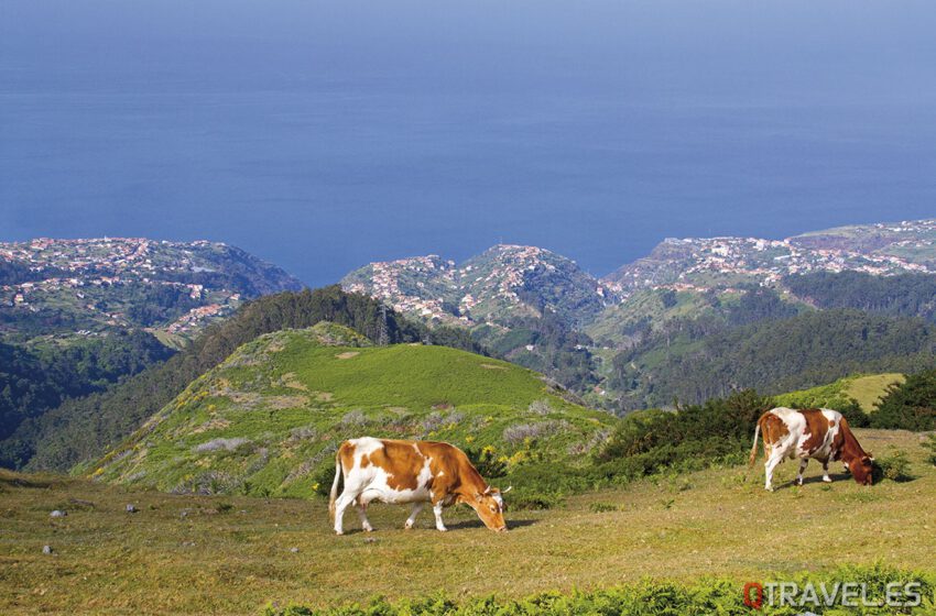  Madeira un jardin en el Atlántico