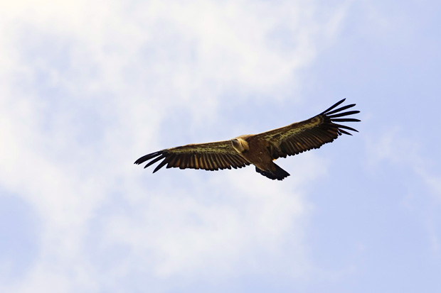  Extremadura, naturaleza en estado puro