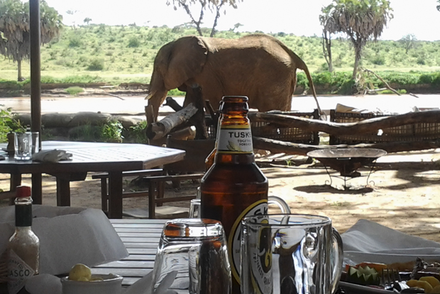  Kenia, aventuras en territorio Samburu