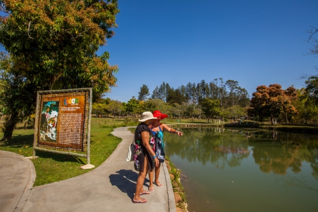  Auge del turismo senior en Brasil