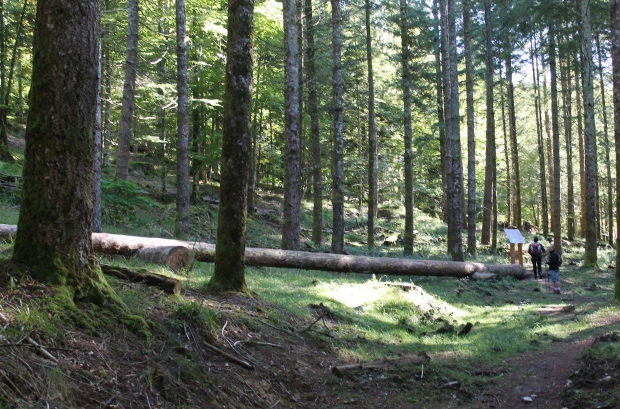  El otoño a través de la Ruta de los Paisajes de Navarra