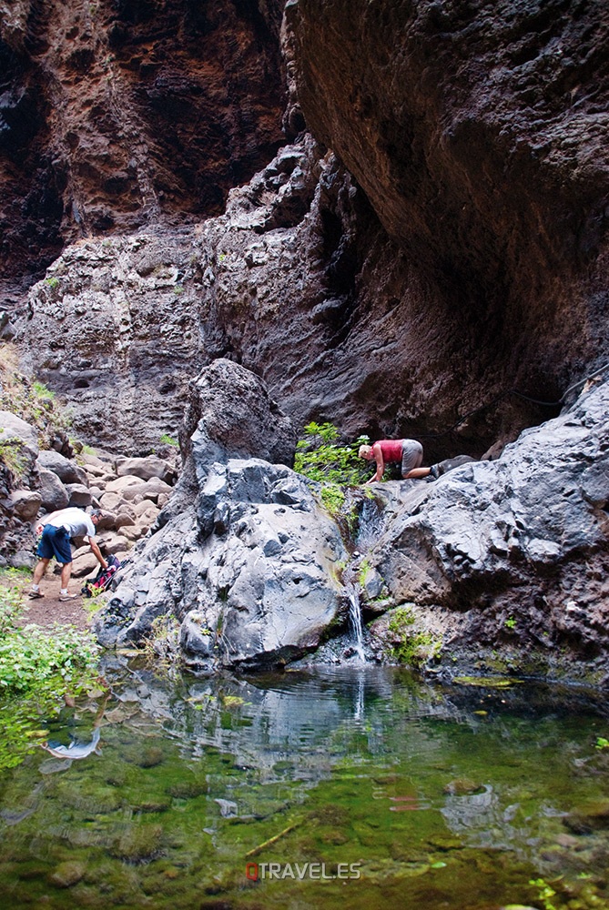 Qué ver y qué cosas hacer en Tenerife, una parada en el descenso del Barranco de Masca, en uno de su estanques naturales