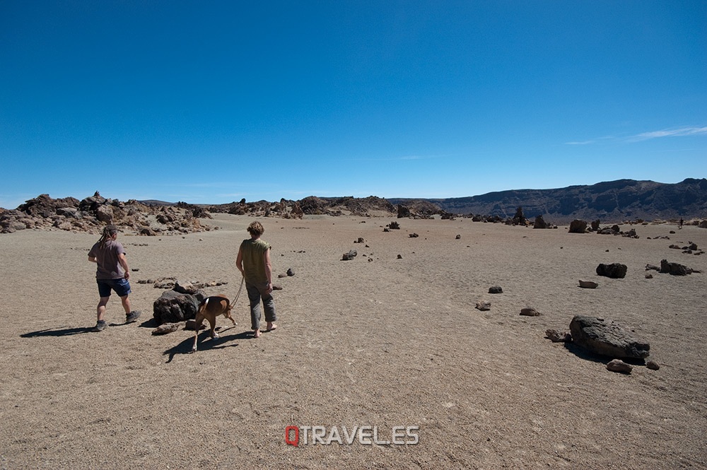 Qué ver y qué cosas hacer en Tenerife