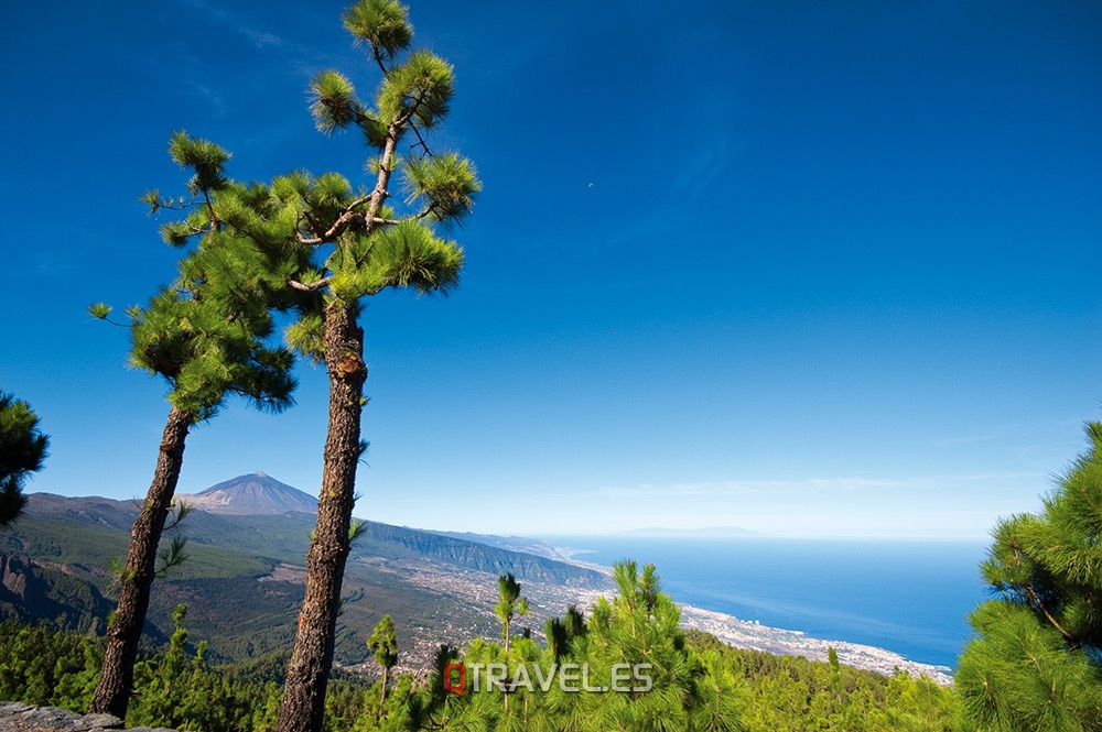 Qué ver y qué cosas hacer Tenerife El Teide desde el mirador de Chipeque, tenerife