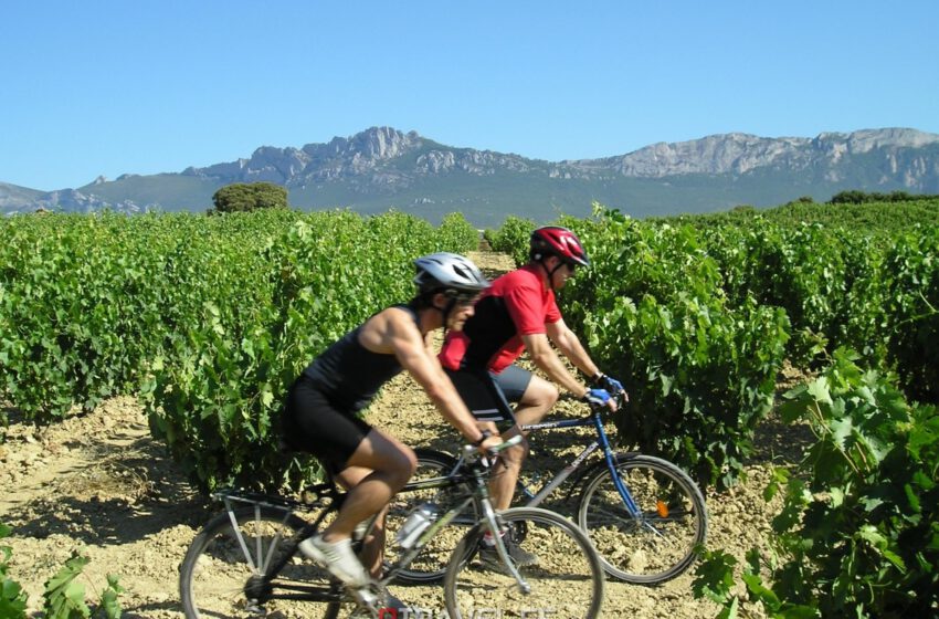  Semana Santa en Rioja Alavesa: placeres al aire libre